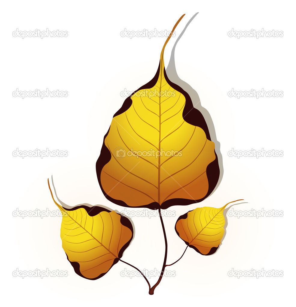 985x1023 Winter Tree Cartoon. Snowy Winter Tree Transparent Png Image