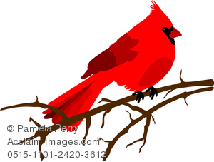 300x227 Clip Art Illustration Of A Red Cardinal Sitting On A Winter Tree