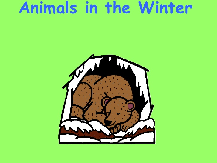 728x546 Collection Of Animals In Winter Clipart High Quality, Free