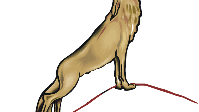 678x381 Wolf Cartoon Images, Clip Art Amp Graphics