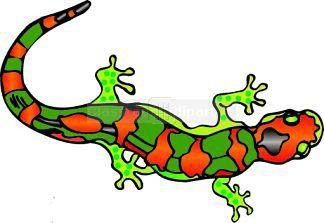 324x223 Top 88 Salamander Clipart