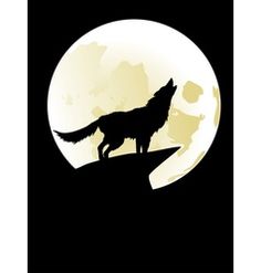 236x247 Wolfcoyote Prints. Difference Between Wolf, Coyote And Dog