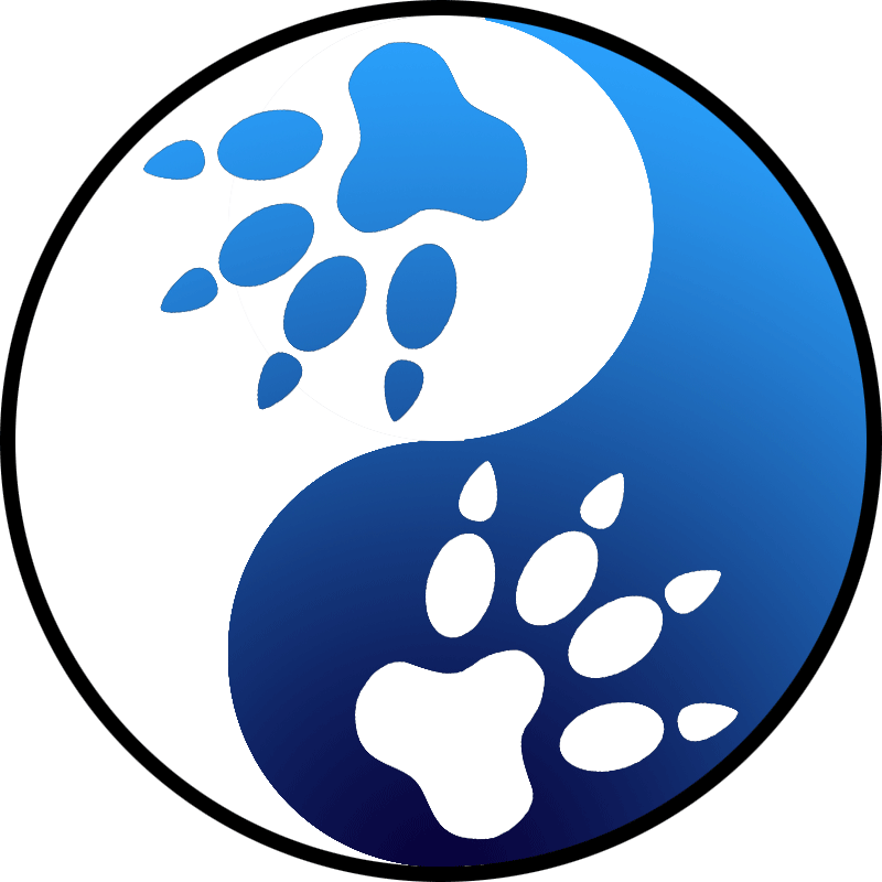 800x800 White Wolf Clipart Stylized