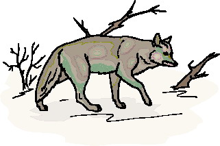 321x213 Wolves Clipart