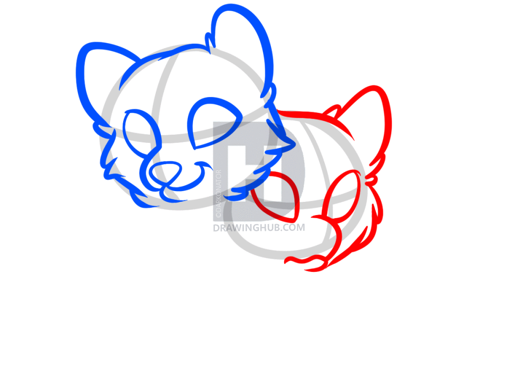 1027x720 How To Draw Wolf Puppies, Wolf Cubs, Step By Step, Drawing Guide