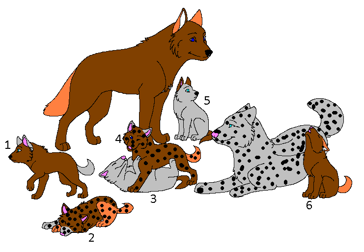 741x513 Wolf Pup Adoptables 2 By Wolfpupadoptions132