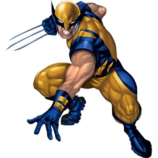 512x512 Wolverine