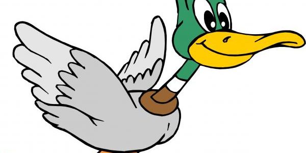 600x300 Migratory Bird Hunting Wolverine Radio