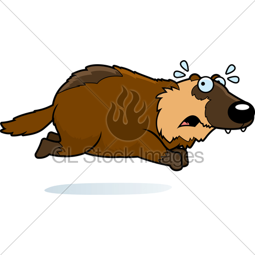 500x500 Cartoon Wolverine Running Away Gl Stock Images