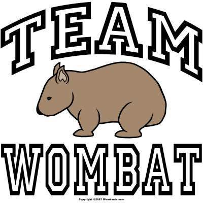 Wombat Clipart
