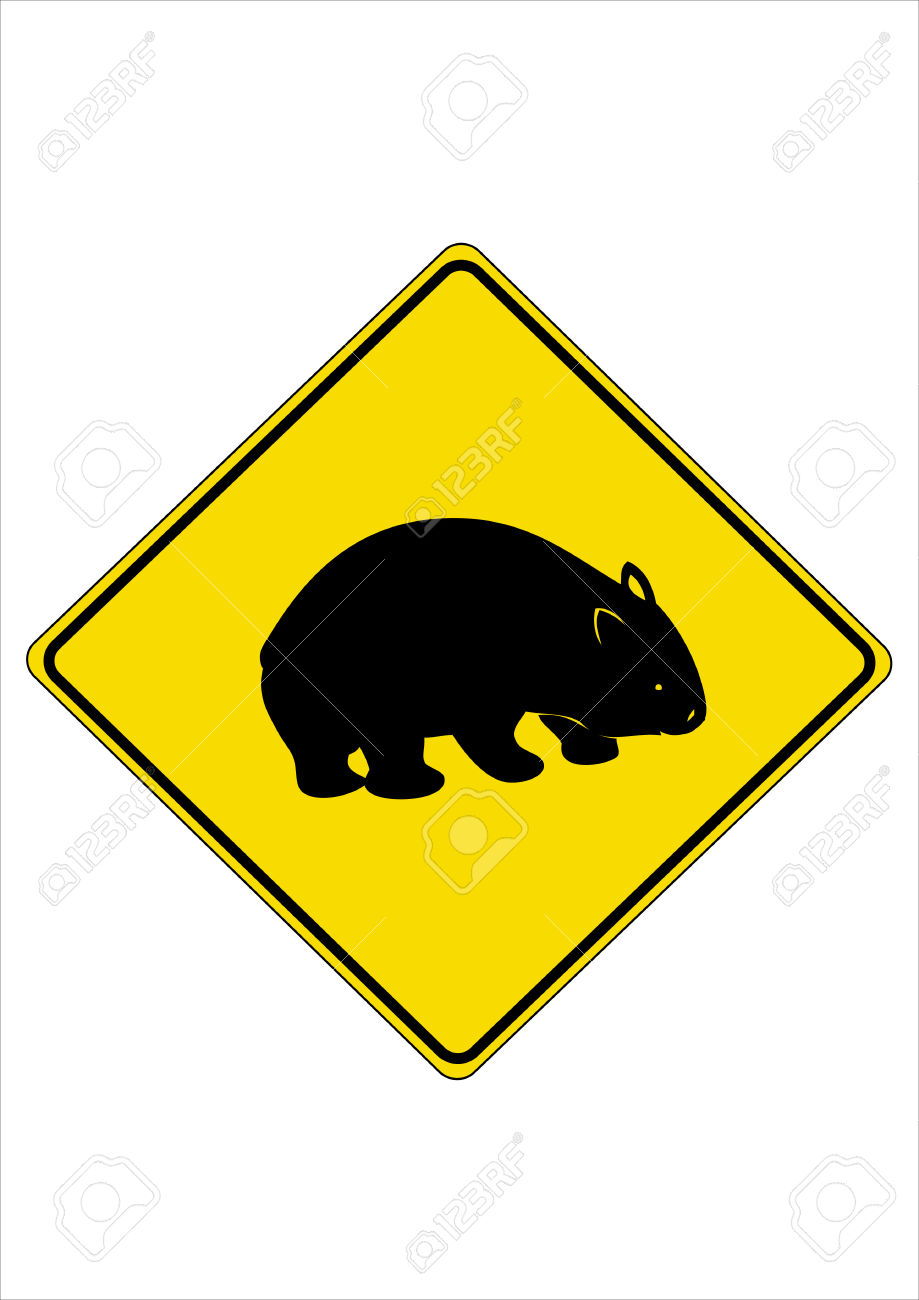 919x1300 Top 88 Wombat Clipart
