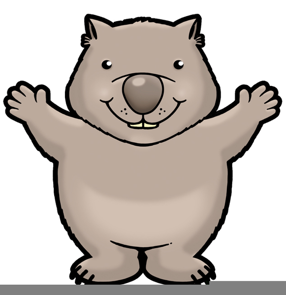 581x600 Wombat Clipart Cartoon Free Free Images