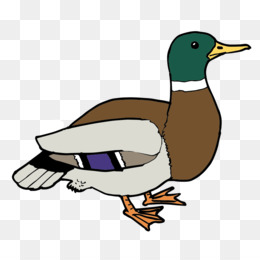 260x260 Rubber Duck Clip Art