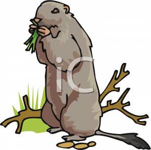 300x298 Gopher Clipart