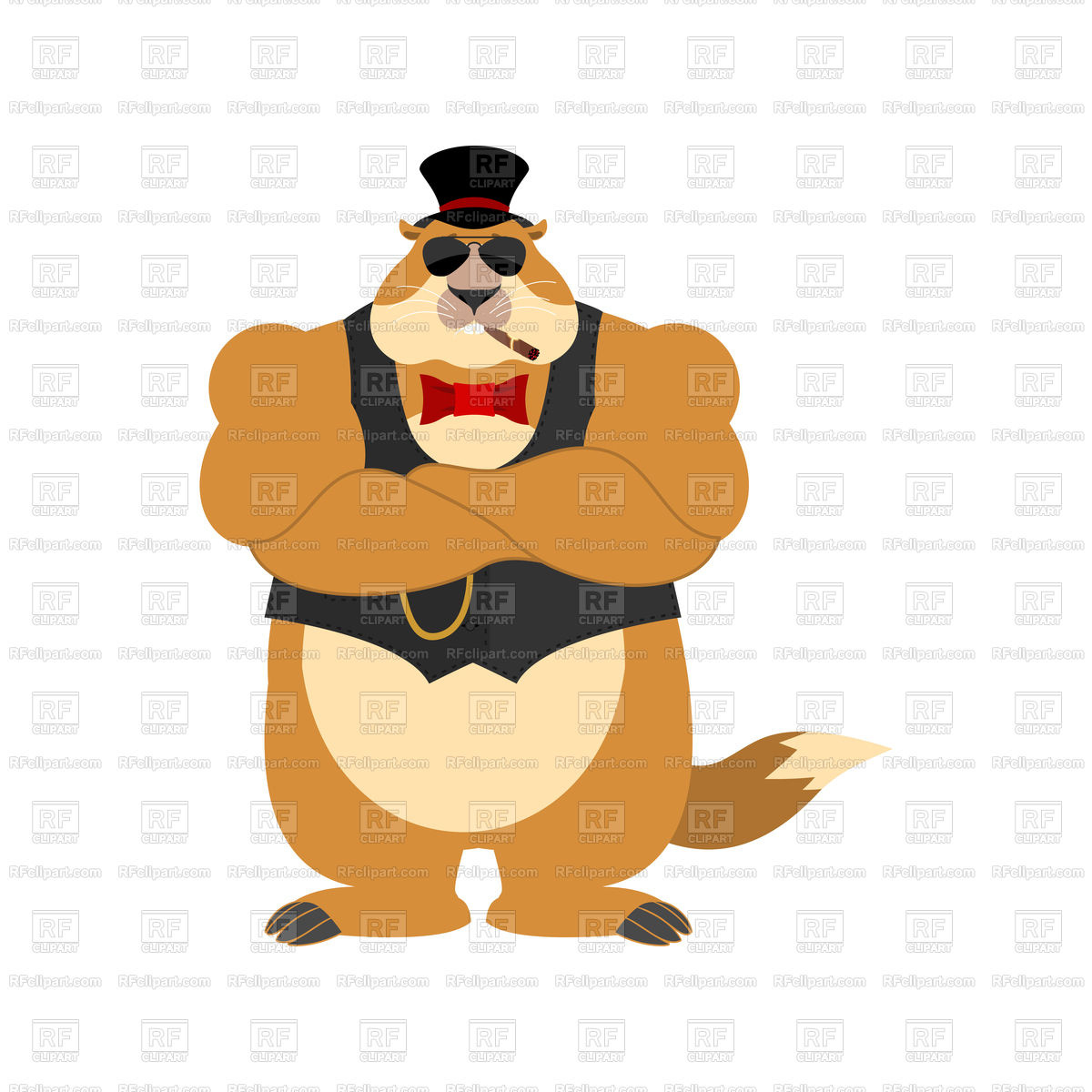 1200x1200 Groundhog In Hat Strong Cool Serious Emotion Royalty Free Vector