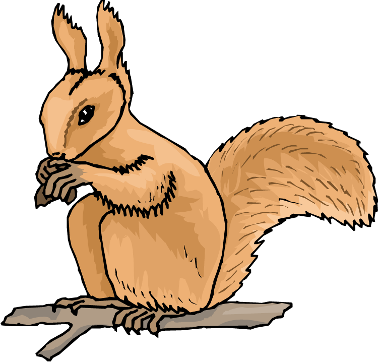 750x718 Squirrel With Nut Clipart