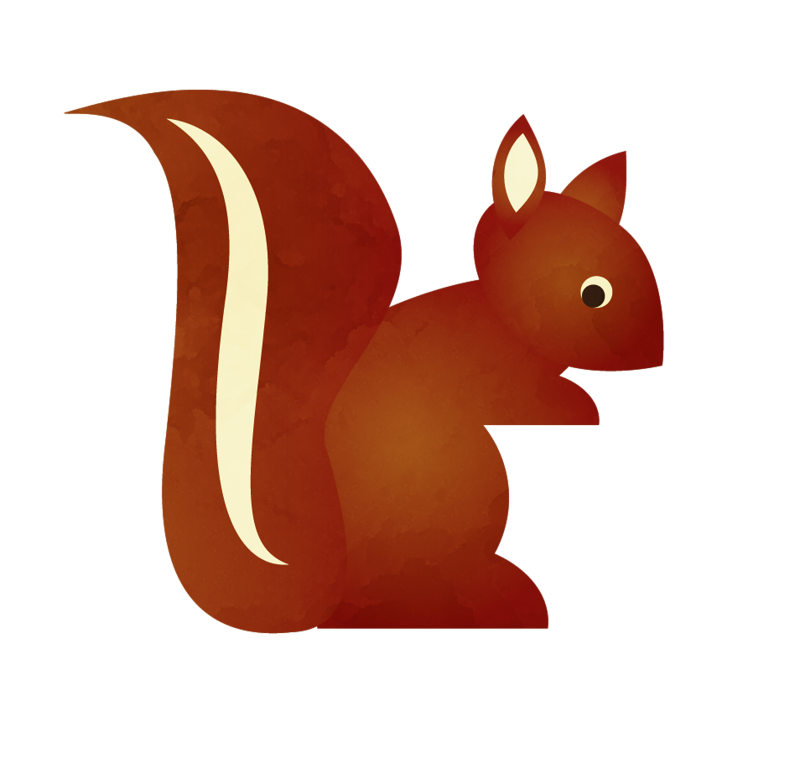 800x758 Squirrel Clip Art