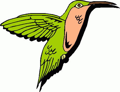 490x378 Hummingbird Clipart Free 4 Clipartix