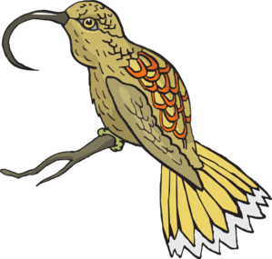 299x285 Sunbird Clip Art