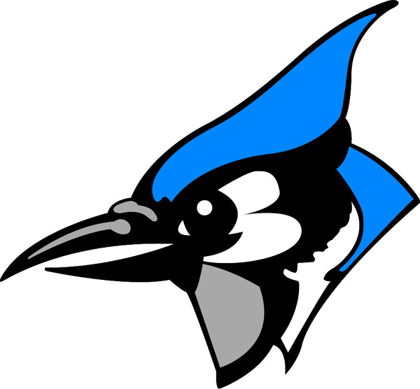 600x556 Top 94 Blue Jay Clipart