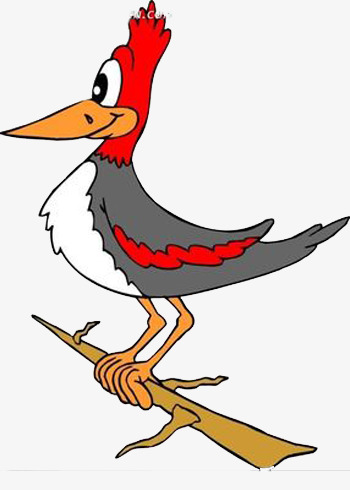 350x490 Woodpecker Carpenter, Yellow Beak, Gray, White Png Image