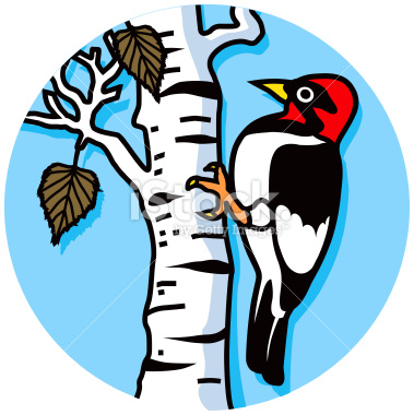 379x380 Woodpecker Clipart Cute