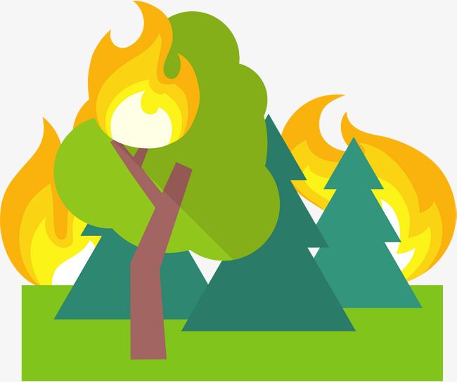 650x544 Fire In The Woods, Fire, Flame,est Fire Png And Vector