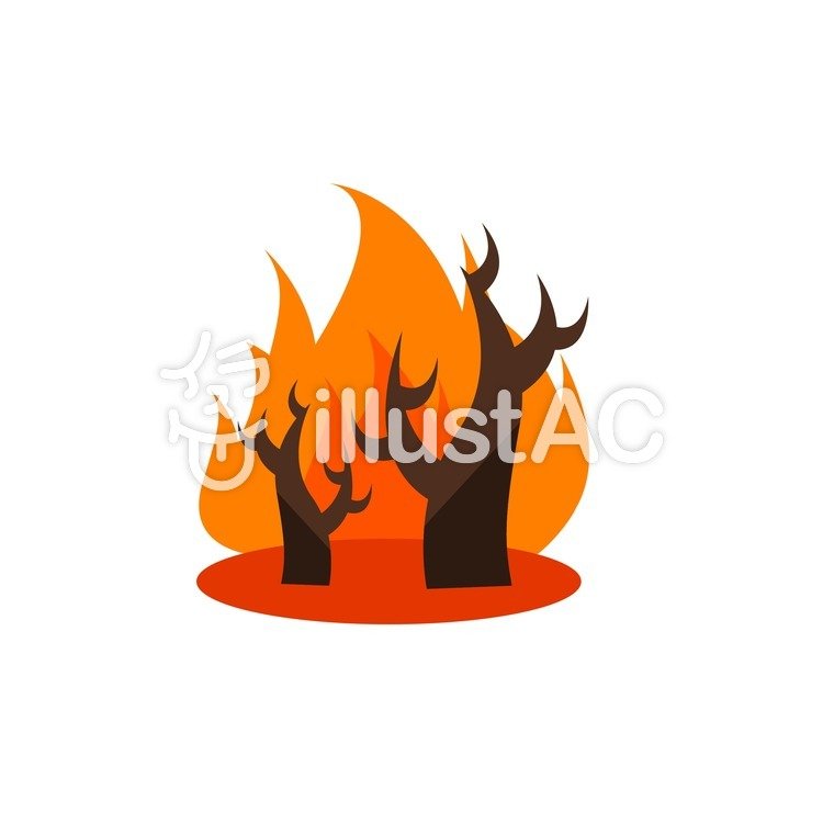 750x750 Free Cliparts Woods, Forest, Fire, Fire
