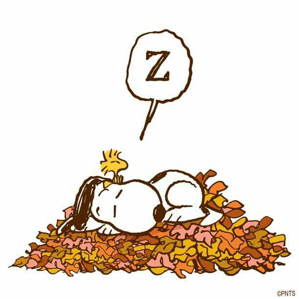 612x612 Snoopy Clipart Napping