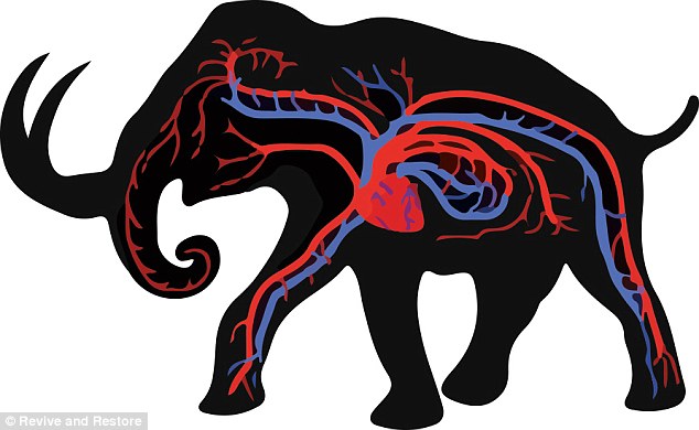 634x390 Experts Claim Resurrecting Animals Could Protect Permafrost