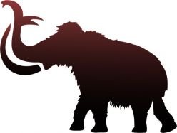 248x187 Tattoo Stencil