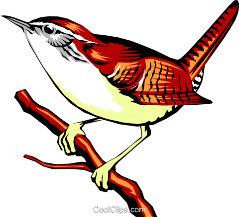 480x437 Carolina Wren Royalty Free Vector Clip Art Illustration Anim0281