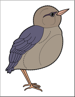 304x395 Clip Art Baby Animals Bird Fledgling Color 1 I