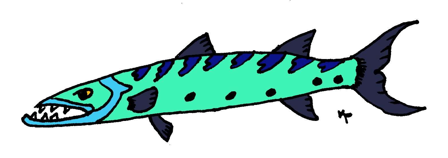 1565x554 Clip Art Barracuda Fish Royalty Free Vector Images