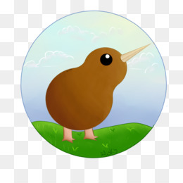 260x260 Kiwi Bird Png And Psd Free Download