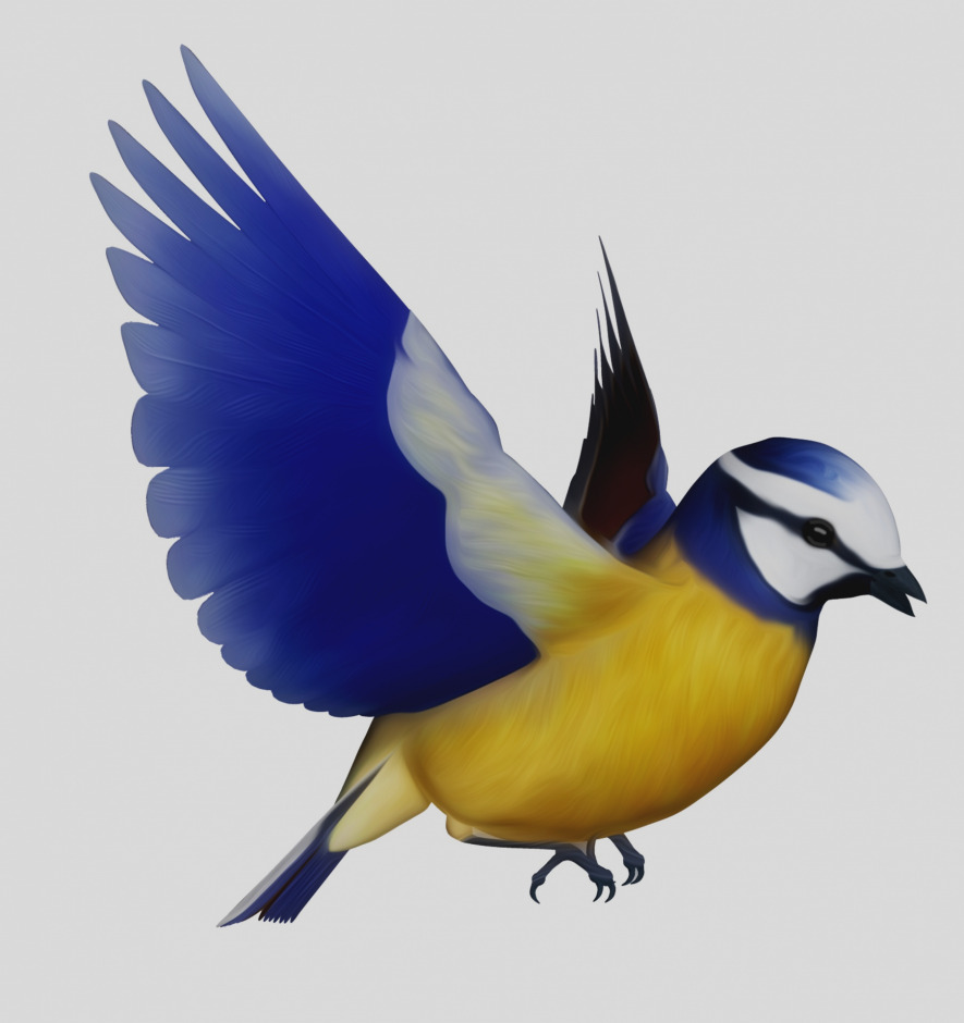 885x940 New Clip Art Bird Blue Png Clipart Best Web