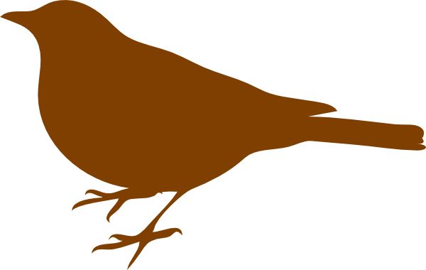 600x380 Pin By Images On Bird Bird And Clip Art
