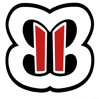 403x403 The Bella Twins Logo By Wwe Womens02