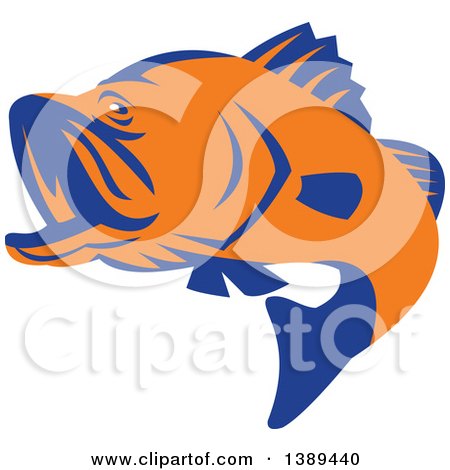 450x470 Clipart Of A Retro Orange And Blue Barramundi Asian Sea Bass Fish