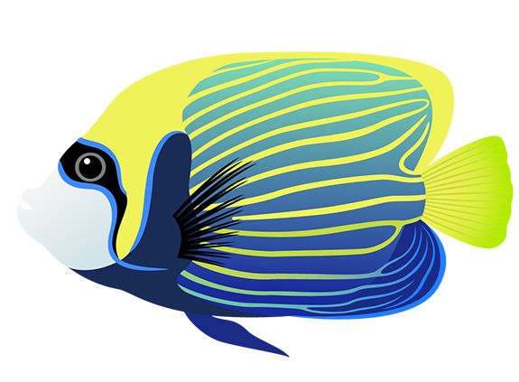 575x423 430 Best Clipart Fish And Sea Images On Pisces, Tube