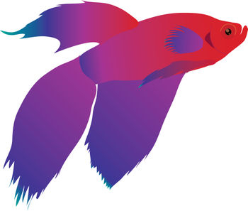 350x297 Betta Fish Clip Art Amp Look At Betta Fish Clip Art Clip Art Images