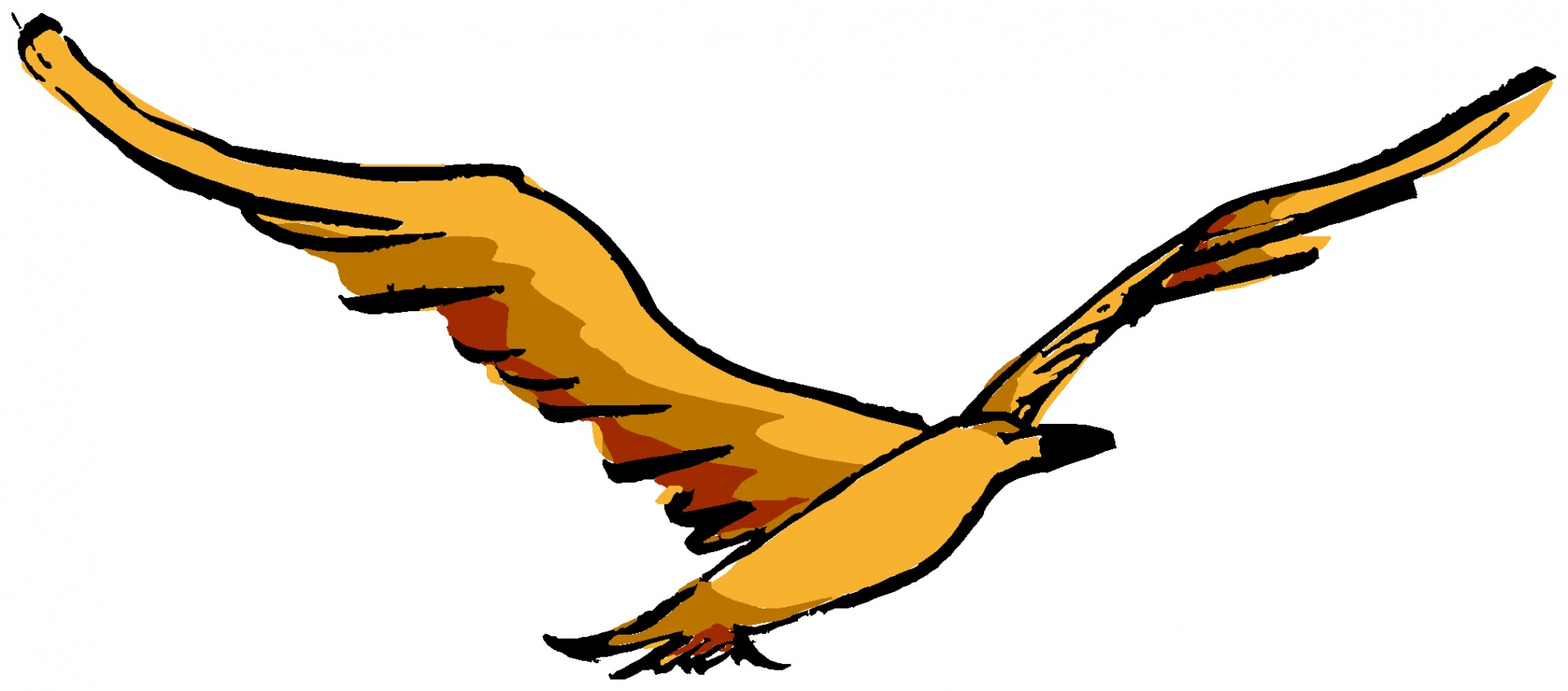 1920x846 Flying Bird Drawing