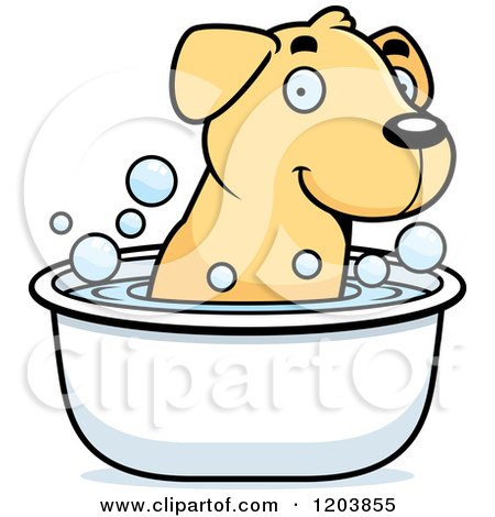 450x470 Royalty Free (Rf) Lab Clipart, Illustrations, Vector Graphics