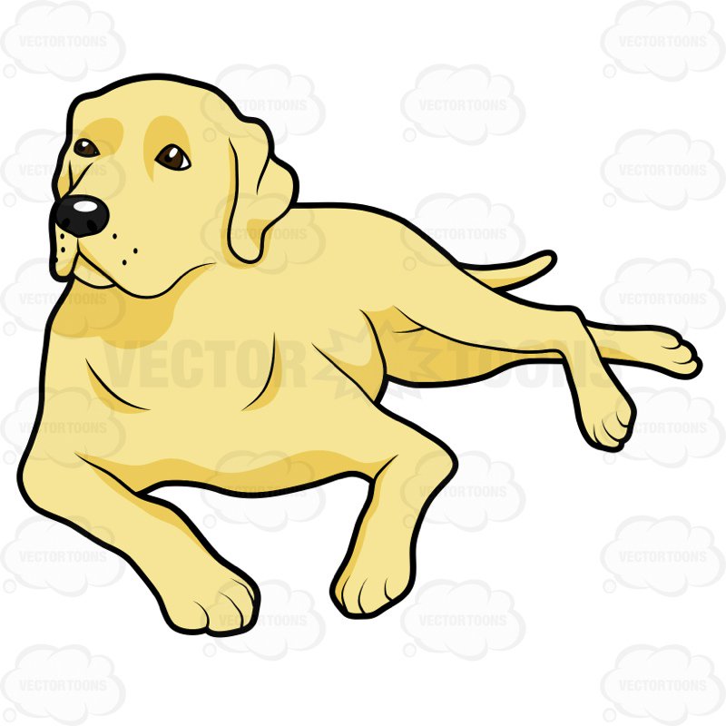800x800 Yellow Labrador Lying Down On Its Side Cartoon Clipart Vector Toons