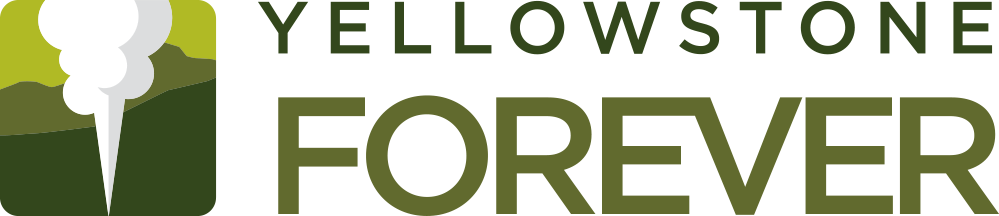 999x216 Media Amp Press Kit