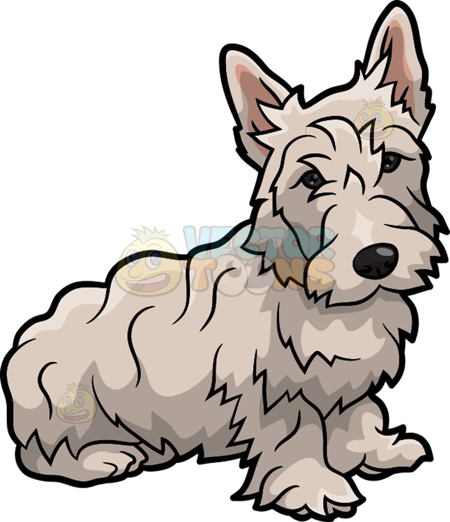 883x1024 Clipart Terrier Dog Cairn Yorkie Pencil And In Color