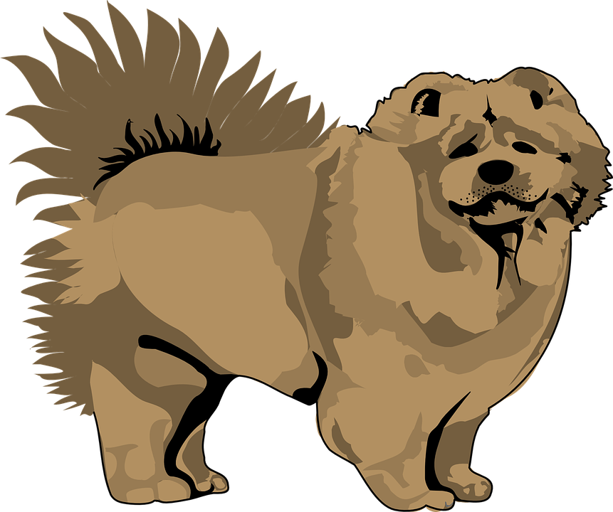 861x720 Pet Clipart Animal Fur