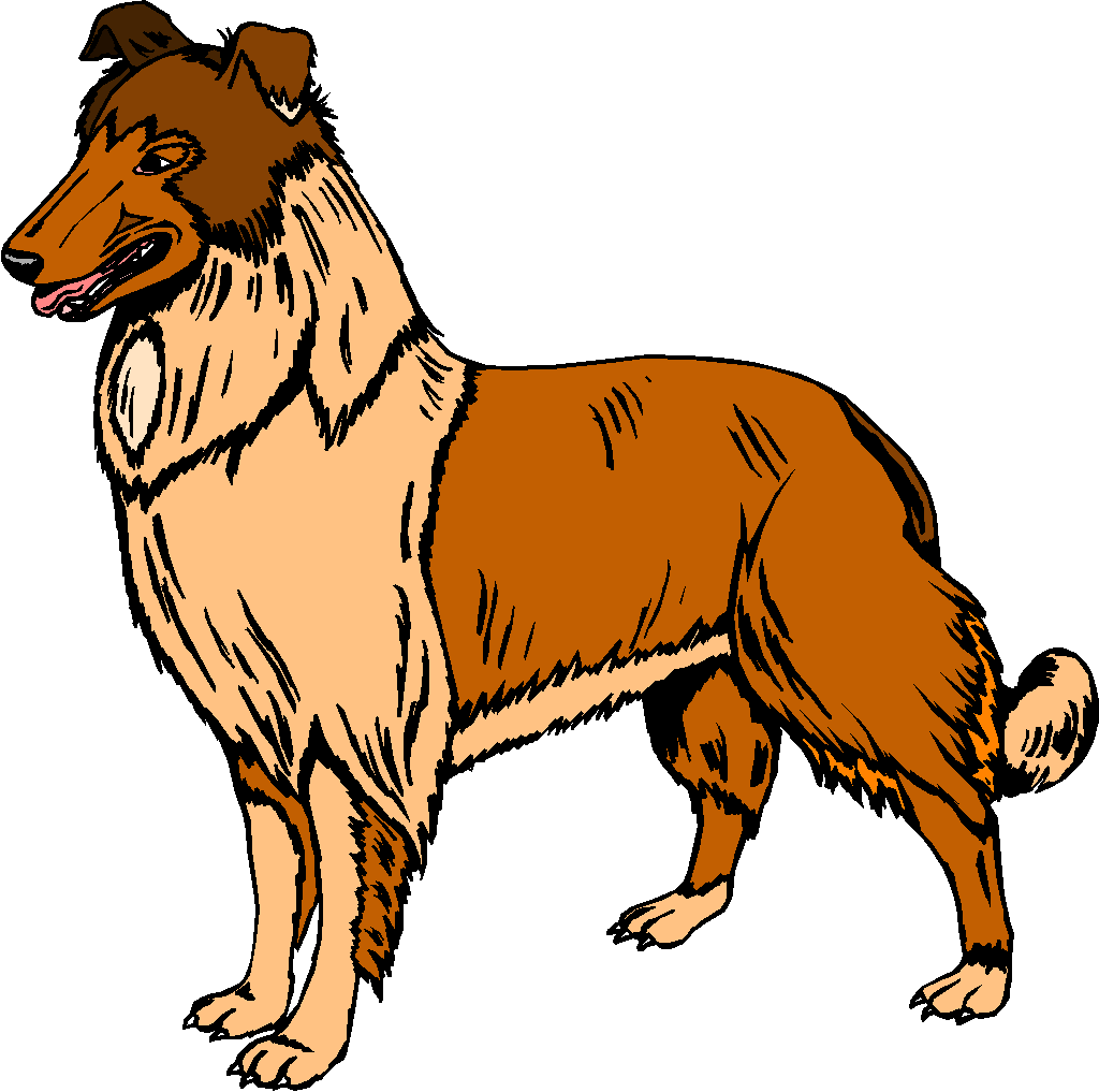 1024x1017 Puppy Clipart Farm Dog