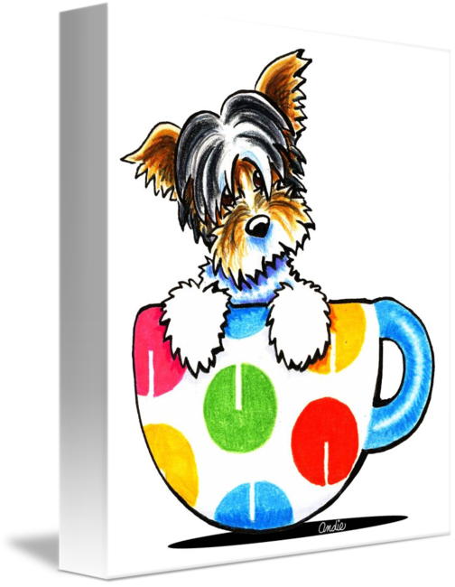 504x650 Cup Of Biewer Yorkie By Off Leash