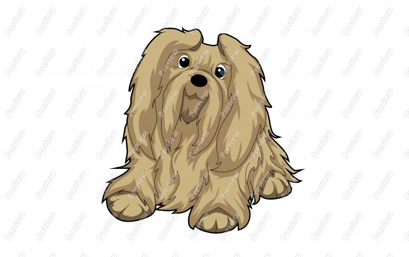 800x502 Friendly Lhasa Apso Dog Character Clip Art